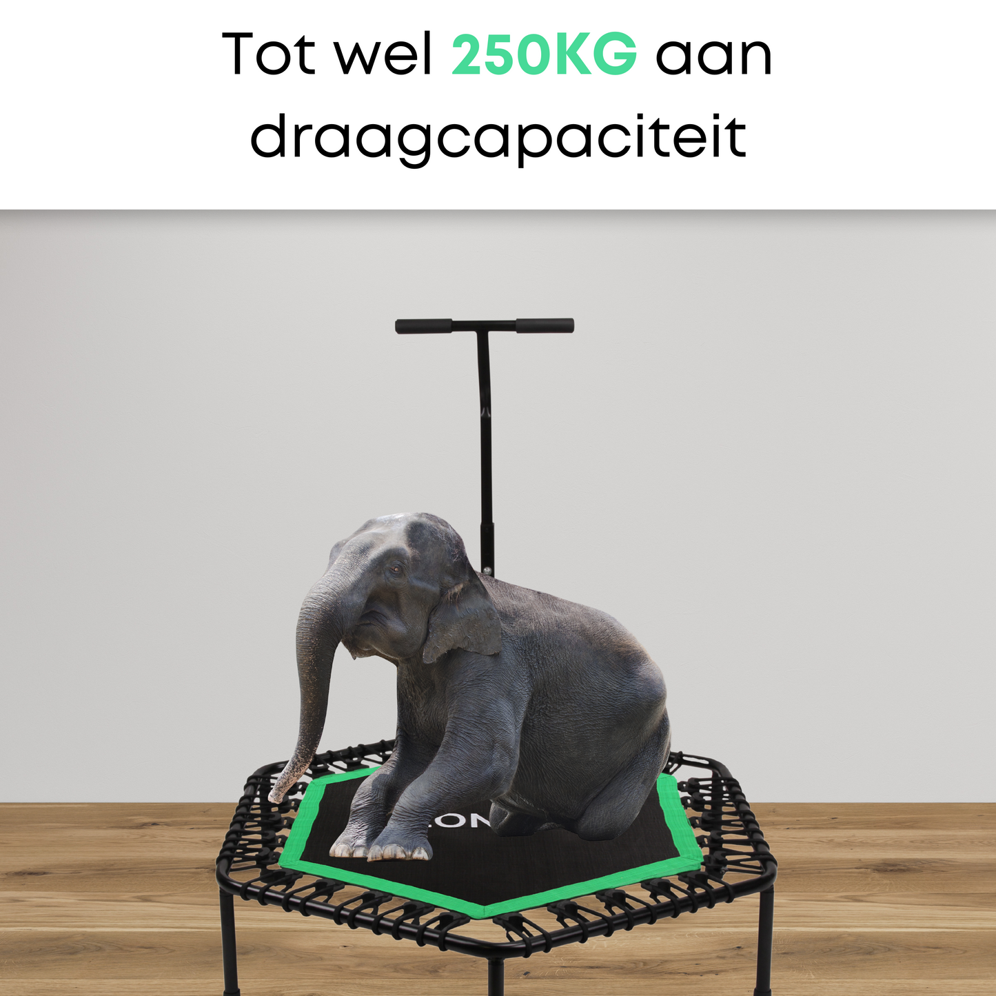 Zonovi Fitness Trampoline Groen (2e KANS)