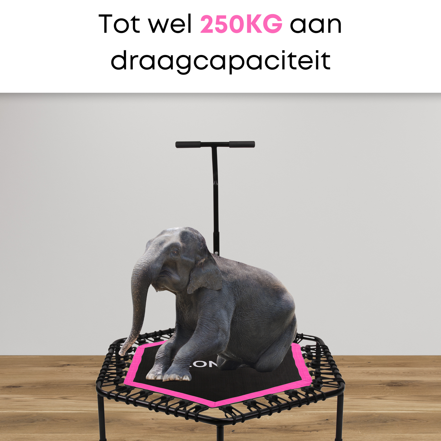Zonovi Fitness Trampoline Roze (2e Kans)